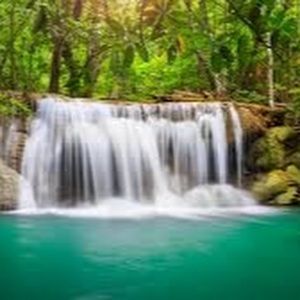 Meet your Posher, Labeeba